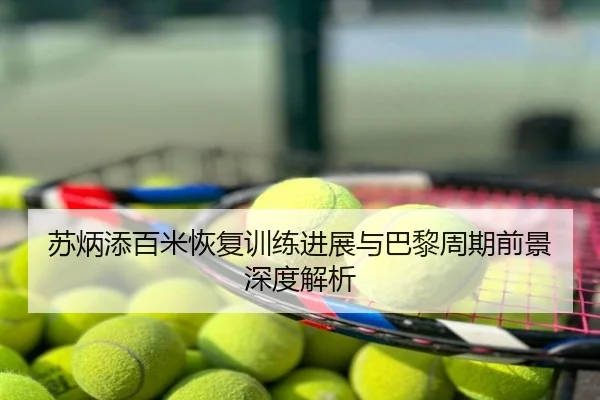 苏炳添百米恢复训练进展与巴黎周期前景深度解析