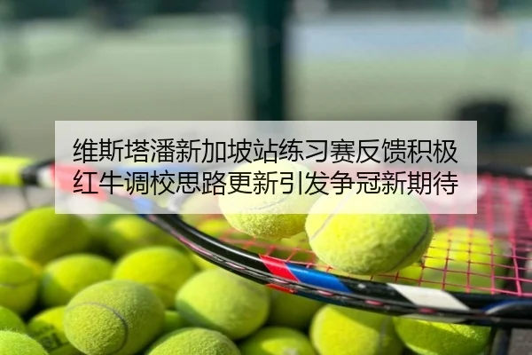 维斯塔潘新加坡站练习赛反馈积极 红牛调校思路更新引发争冠新期待